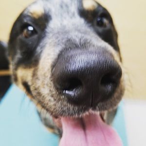 Meet your Posher, Vicki